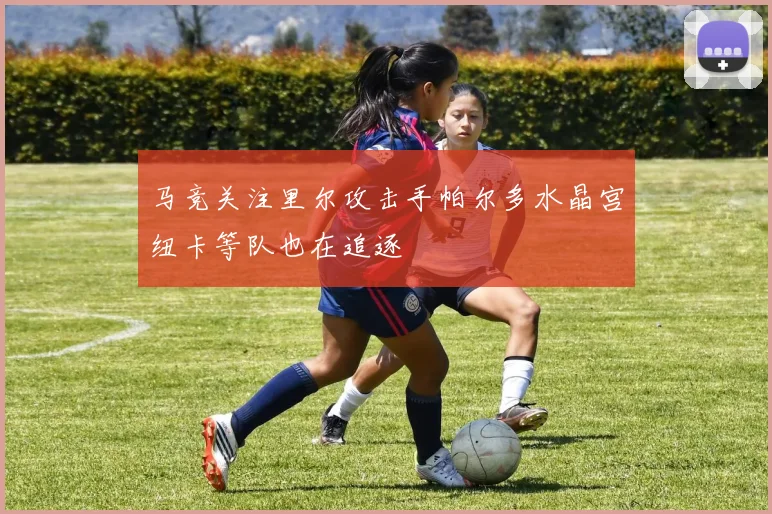 马竞关注里尔攻击手帕尔多水晶宫纽卡等队也在追逐
