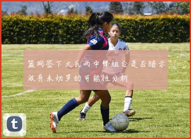 篮网签下大瓦两中锋组合是否暗示放弃米切罗的可能性分析