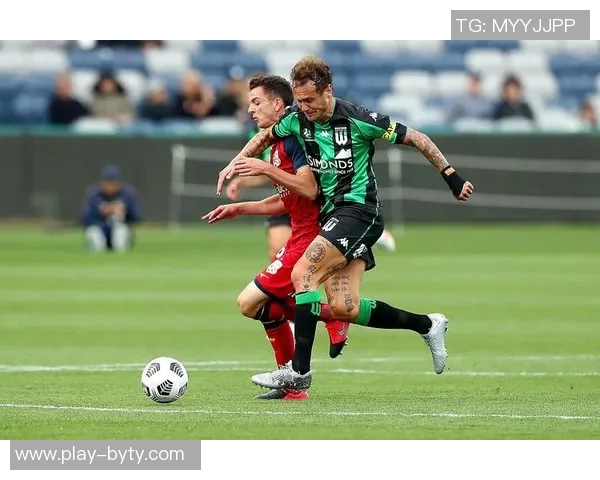 苏群分析火箭与掘金对决展现西部篮球新老力量的较量与提升